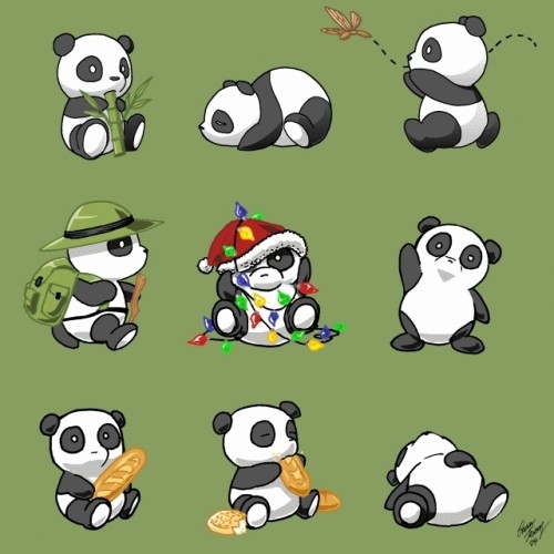 Which Panda Are You