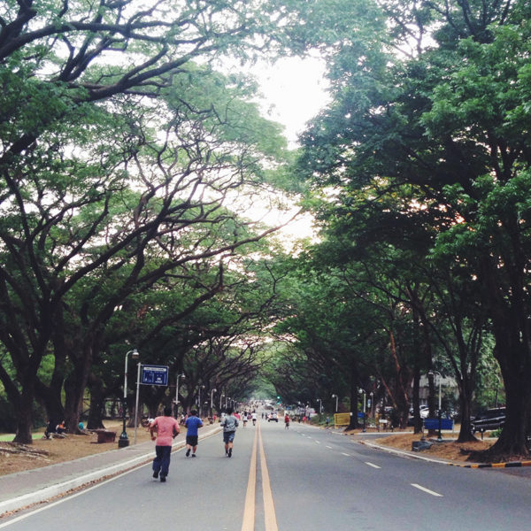 An afternoon at UP Diliman, and thoughts about “being all there”