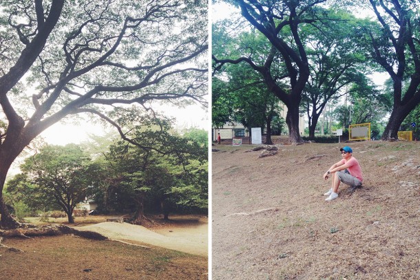 One afternoon at UP Diliman