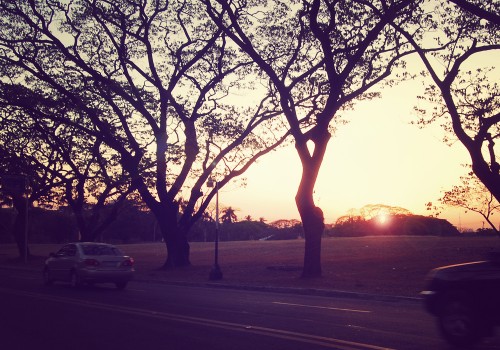 University of the Philippines Diliman